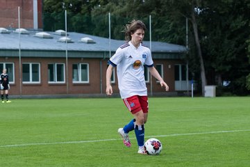 Bild 174 - wBJ Hamburger SV - Holstein Kiel : Ergebnis: 2:0